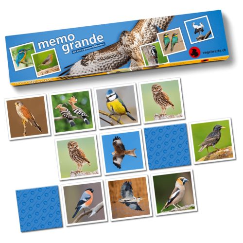 Memospiel in einer länglichen Stülpschachtel mit 44 Bildkarten