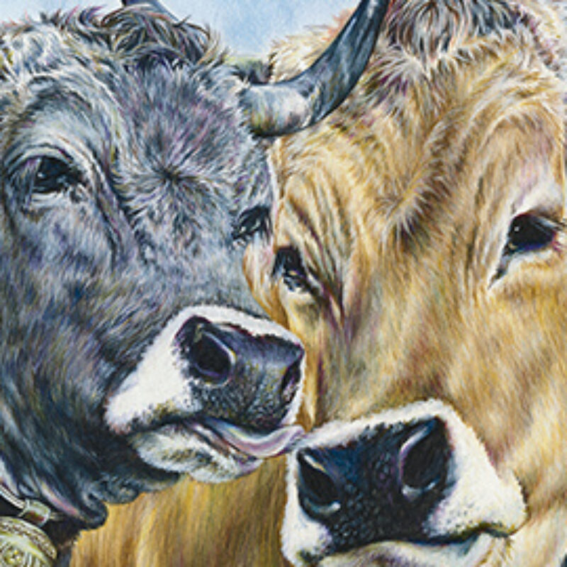 Puzzles Irene Hofstetter