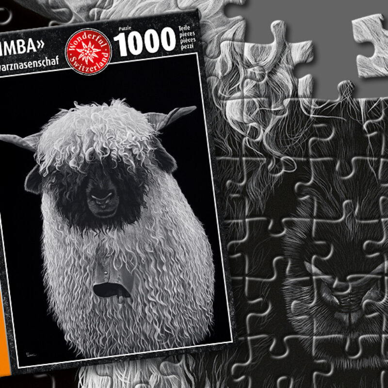 KIMBA Schwarznasenschaf